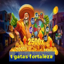 t gatas fortaleza